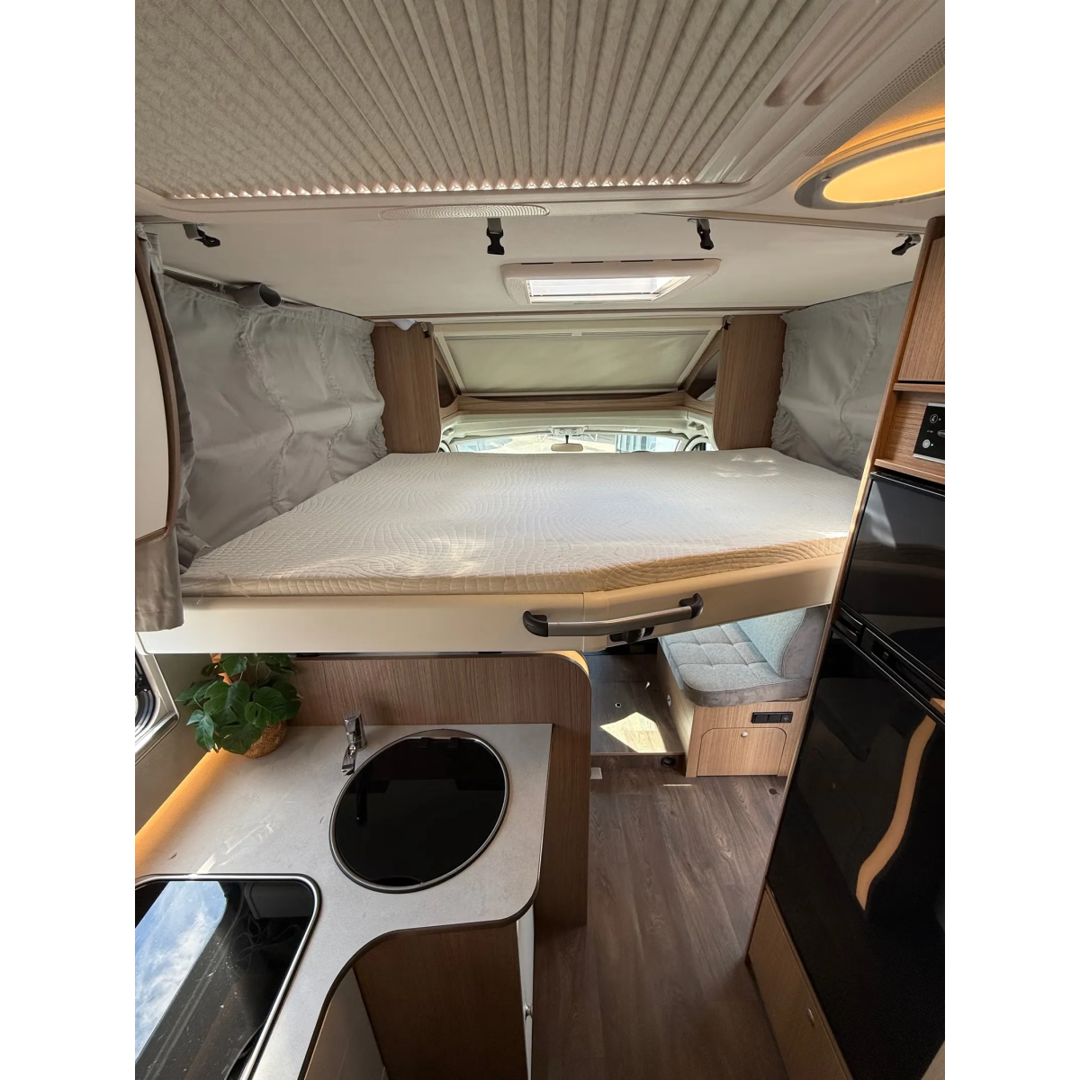 Carado Capron T447